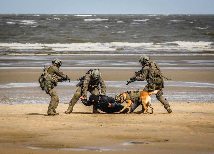 politiehonden komen samen trainen en demonstraties geven op het strand van Koksijde: hond wordt gedropt uit heli om terrorist uit te schakelen