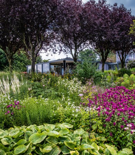 Tuinen met kunstwerken of buitendijkse ligging bewonderen? Struin door deze vier zomertuinen in Salland