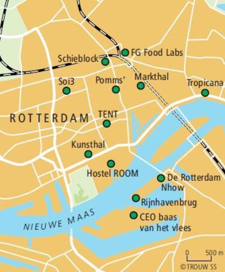 Rotterdam Beeld Trouw