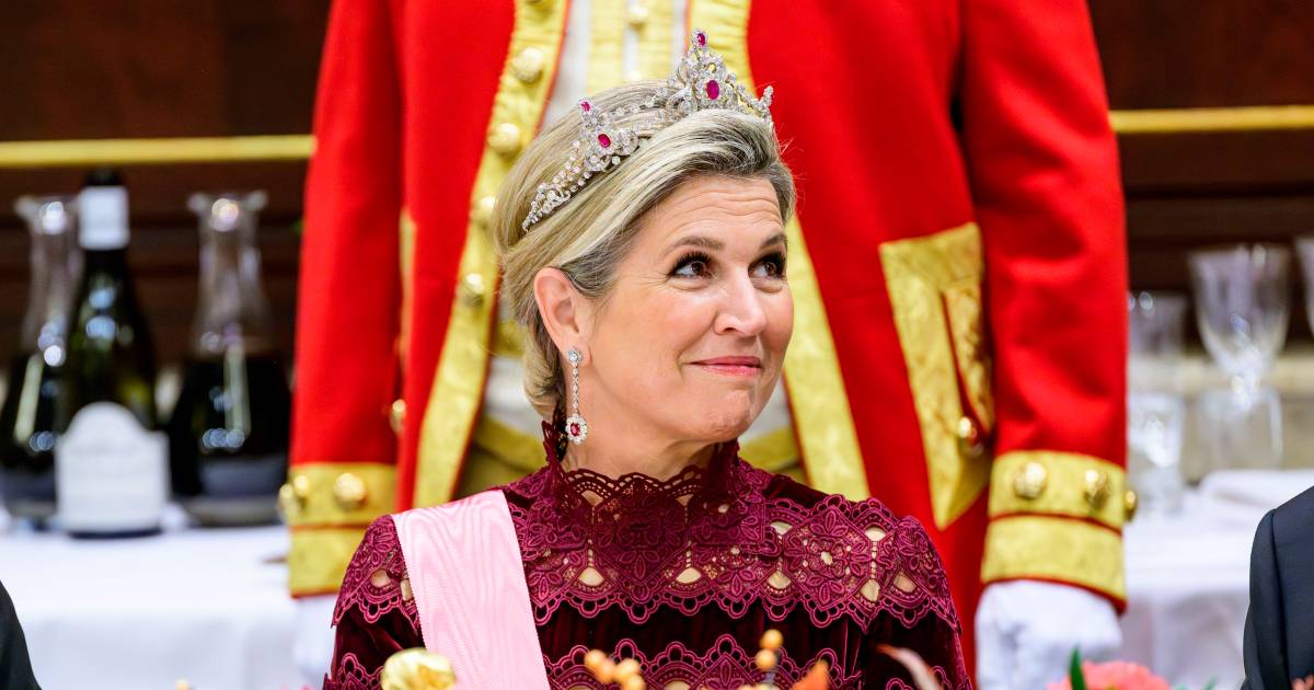 Oranje Franje: Máxima’s Christmas Dress and Sofia’s Alterations Revealed by Expert Josine Droogendijk