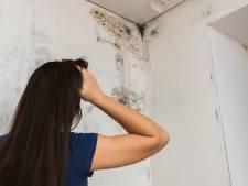 Huurders opgelet: huurprijs anders berekend, meer rechten voor bewoners