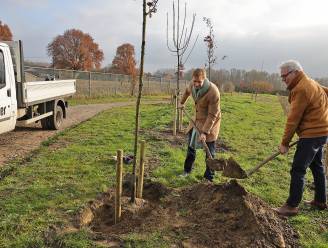 Uitbreidingsplannen voor herdenkingsbos in Lier; “Er werd wellicht nooit aan dit tempo aan bosuitbreiding gedaan”