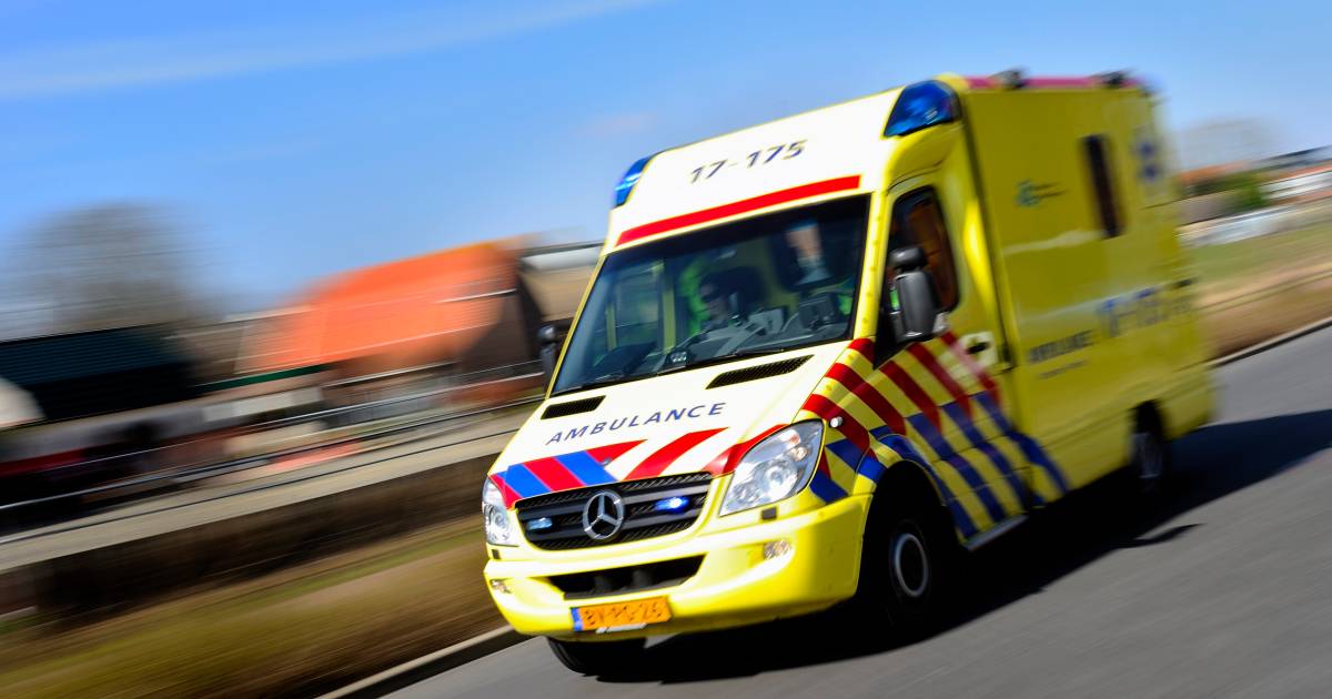 Automobilist uit Gameren overleden na botsing tegen boom in Hedel.