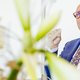 Johan Vande Lanotte zegt politiek vaarwel: 'We hebben vooral stemmen verloren aan Vlaams Belang'