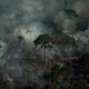 Grootste aanbieder van CO2-compensatie past regenwoudprojecten aan na kritiek