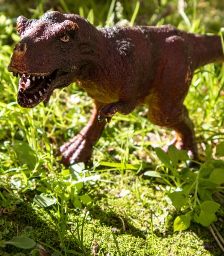 ‘Kijk eens schat, verrassing!’ Brit leukt tuin op met aanstormende tyrannosaurus
