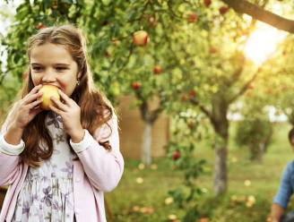 Appels van eigen oogst