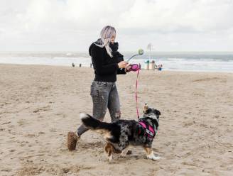Honden niet meer toegelaten op strand tussen Oosterstaketsel en J. Gadeynehelling