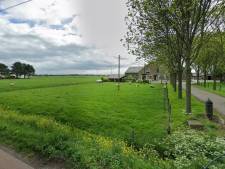 Ondernemers willen snel nieuw bedrijfsterrein langs A12, maar géén ‘verdozing’