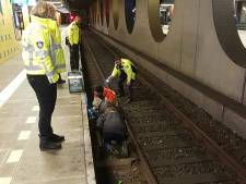 Vermiste rode kater Binkie na vier weken zoeken van spoor Rotterdam-Blaak gered