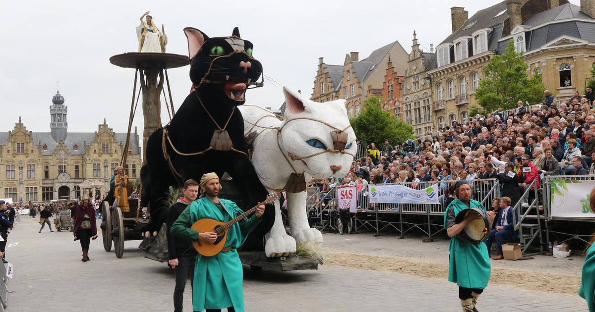 "45ste Kattenstoet is dé beste ooit" Ieper hln.be
