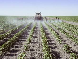Pesticidegebruik door overheid neemt verder af in Vlaanderen
