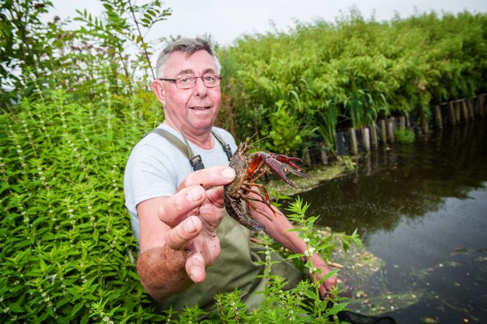 Visser Hans van der Laan begrijpt het besluit van het Hoogheemraadschap van Rijnland niet. 'Waarom niet vissen op dieren die schade veroorzaken'?