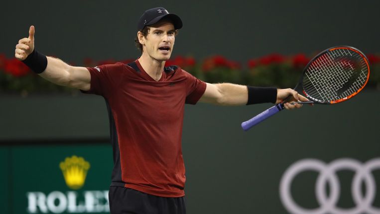 Andy Murray. Beeld AFP