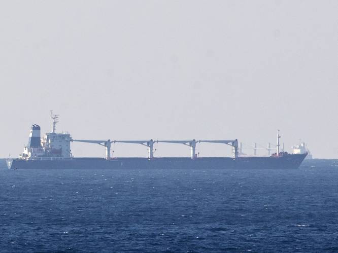 Eerste schip met Oekraïens graan bereikt Turkse kust