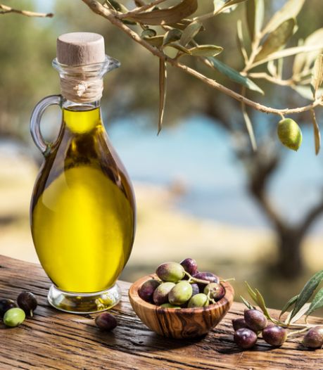 L’huile d'olive espagnole menacée par le réchauffement climatique