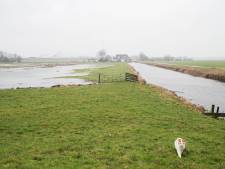 Vogelgriep in gruttoparadijs net buiten Amsterdam: ‘We moesten kiezen tussen twee kwaden’ 