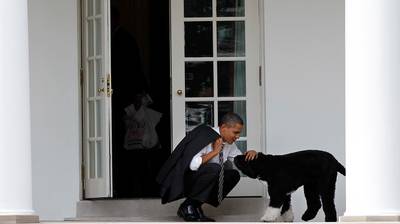 Obama's nemen na ruim tien jaar afscheid van labradoodle Bo