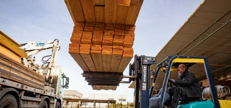 Houthandel Daams in Valkenswaard blijft hopen op permanente oplossing huisvestingskwestie: ‘De komende maanden worden nog spannend’