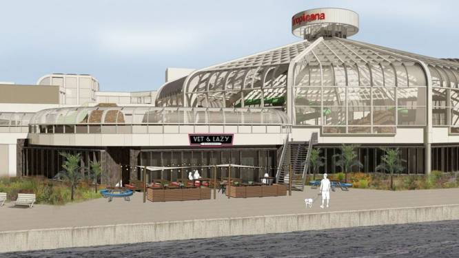 Vet&Lazy wil een café in het oude Tropicana (met terras aan de Maas)