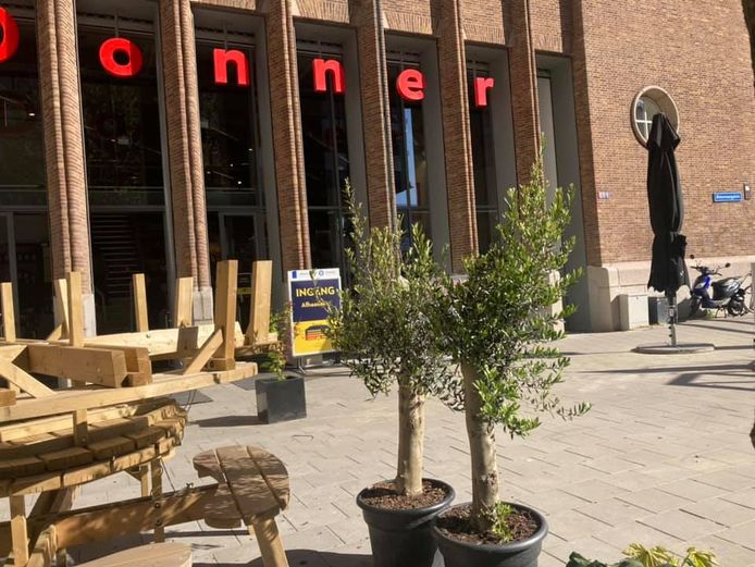 Drie van de vijf olijfbomen zijn gestolen.