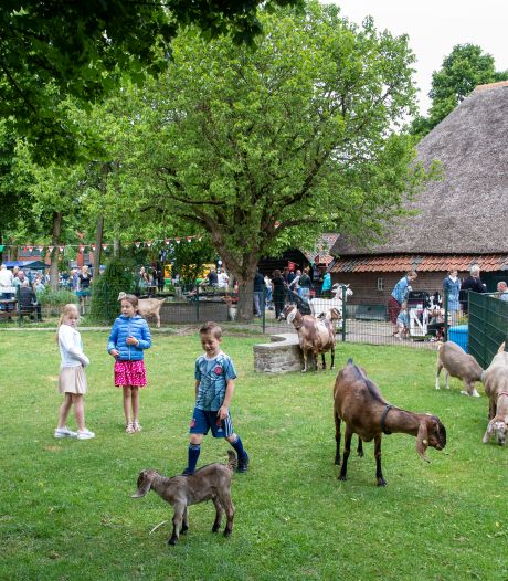 
Dit weekend te doen in De Vallei: Kinderdierendag, Kunstroute en sportclinics
