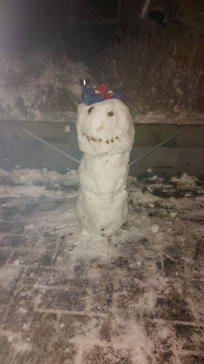 Sneeuwpop in Renkum.