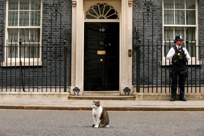 Kater Larry poseert bijna plechtig voor de deur van Downing Street 10 in Londen.