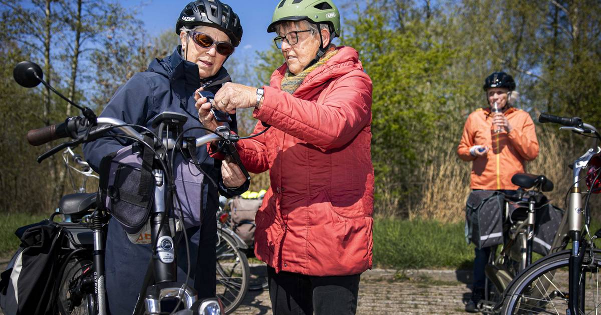 Stelling Een helmplicht voor elektrische fietsen is een verstandige