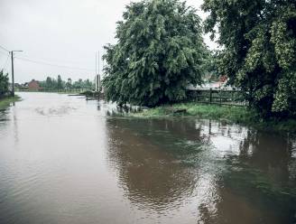 Wateroverlast in juli erkend als natuurramp: getroffen Truienaars kunnen tegemoetkoming aanvragen