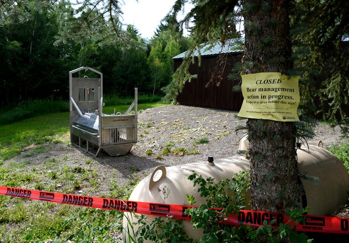 Het kampeergebied in de Amerikaanse stad Ovando, in de staat Montana, werd afgesloten tot de lokale autoriteiten de grizzlybeer konden vangen. In het midden van het gebied is een berenval te zien.