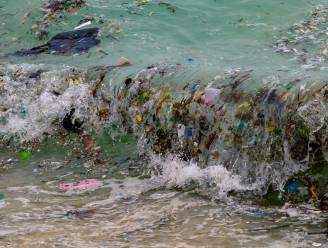WWF: “Tegen 2050 meer dan vier keer zoveel plastic in oceaan”