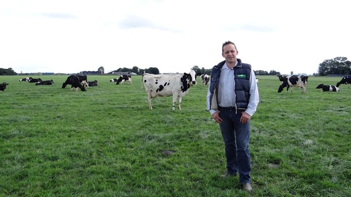 Melkveehouder Wim van Ittersum uit het Overijsselse Mastenbroek tussen zijn koeien.