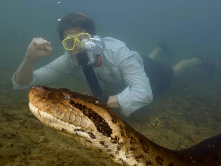 Freek Vonk ontdekt nieuwe anacondasoort in Amazone