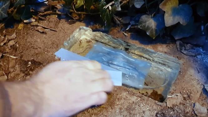 Superspeurders vinden de Memory Brick met mondkapje, maar houden de plek geheim