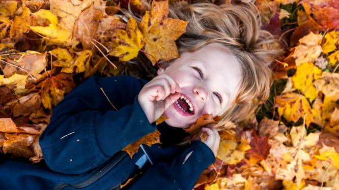 Aftellen naar de herfstvakantie: 6 onvergetelijke uitstappen voor jong en oud
