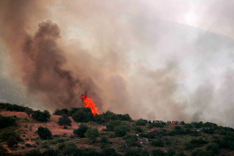De brand op het Griekse eiland Evia.  Beeld AP