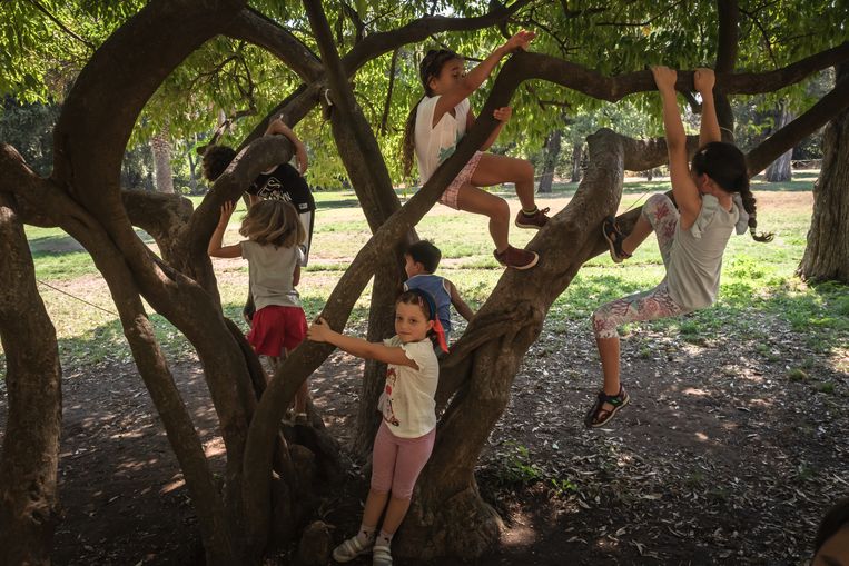 I bambini del Centro Estevo si arrampicano su un albero a Villa Doria Bambili a Roma.  Statua di Nicola Sol