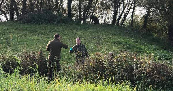 Granaat uit Tweede Wereldoorlog tot ontploffing gebracht in Heerewaarden