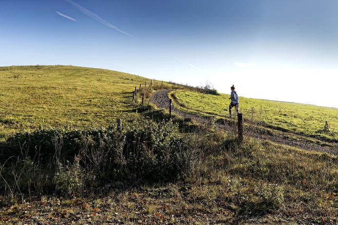 Vlagheide in hartje Meierijstad met nodige geduld nóg mooier | Meierij |  bd.nl