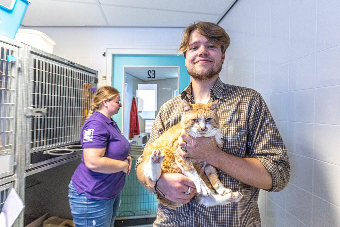 Beschoten zwerfkat verruilt Zwols asiel voor nieuw baasje in Amsterdam ‘We huilen allemaal een