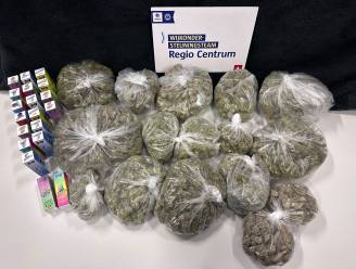 Voor 13.000 euro aan cannabis gevonden bij routinecontrole in Antwerpen