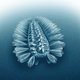 Een ‘gepantserde’ prehistorische worm