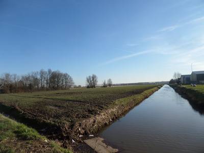 Grote interesse in grond op De Rietdijk, Altena maakt ‘strenge’ regels voor wie een stuk wil kopen