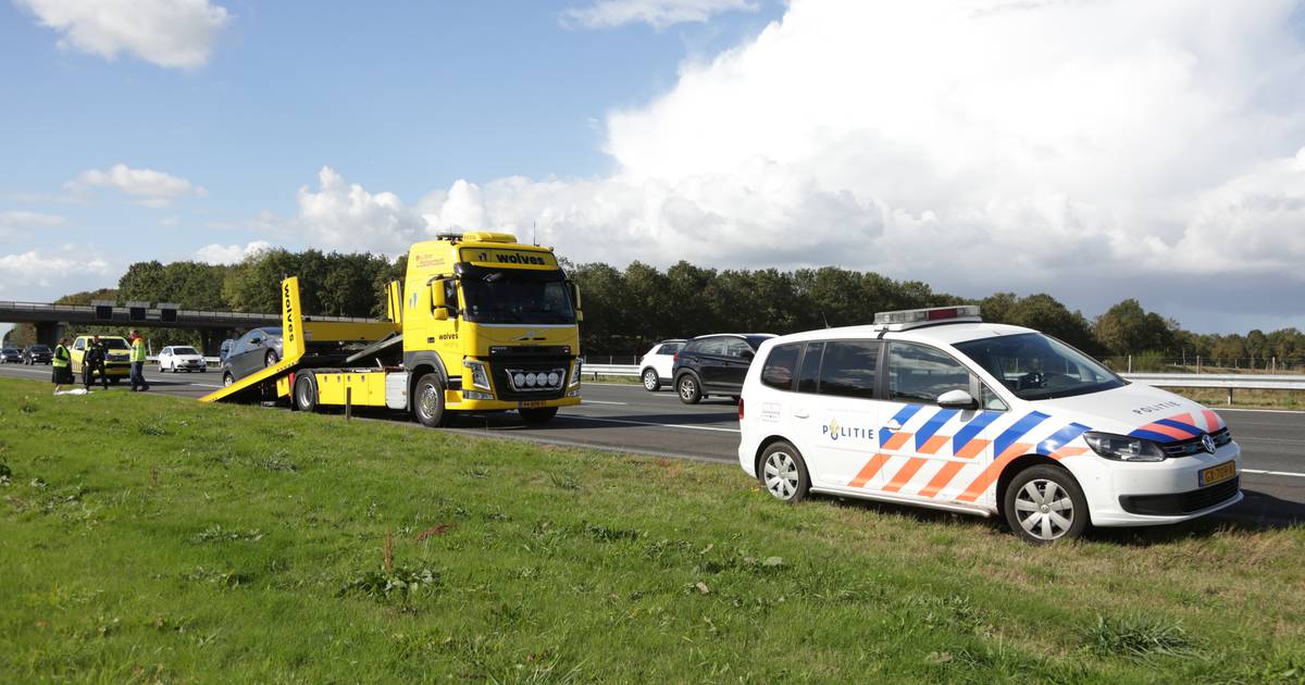 Loslopende hond overleden bij aanrijding op A1 bij Bornerbroek - De Stentor