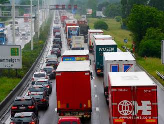 E313 meer dan zes uur na ongeval met vrachtwagens weer volledig vrijgegeven