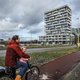 De plant is koning bij woonblok Stories in Buiksloterham