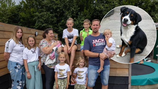 Hond Borre van familie Jelies dood gevonden: ‘Moet onmiddellijk bedwelmd zijn geraakt door ammoniaklucht’