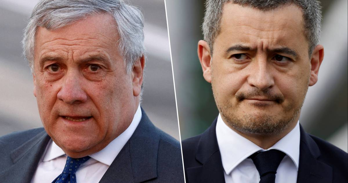 Melonia |  All’estero