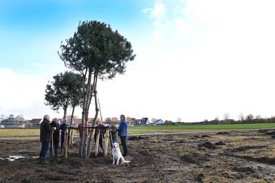 Zeg het maar, een nieuwe woonwijk in Milsbeek of een park?